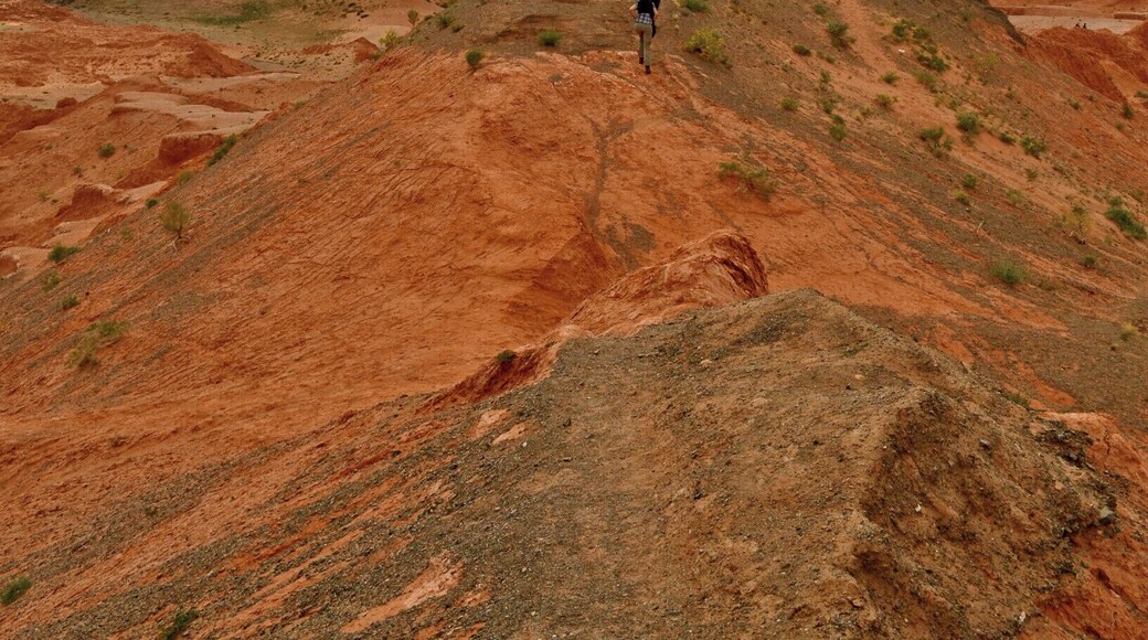 The red cliffs in southern Mongolia. If I need to explain what makes this place cool, you're not looking at the picture ;-)