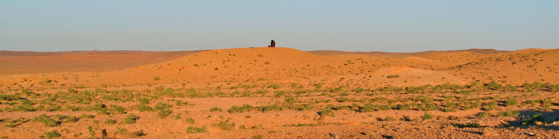 Beautiful Mongolian Desert