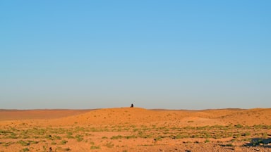 Beautiful Mongolian Desert