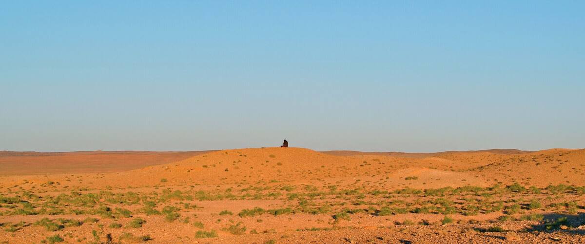 A desert landscape with sparse vegetation and a solitary figure on a hill.
