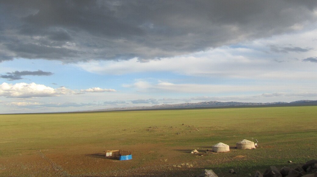 The Gobi stretched on endlessly - not sand but flat flat flat. We had had some rain so there was a fine covering of grass on the plains. #Gobi #troveon