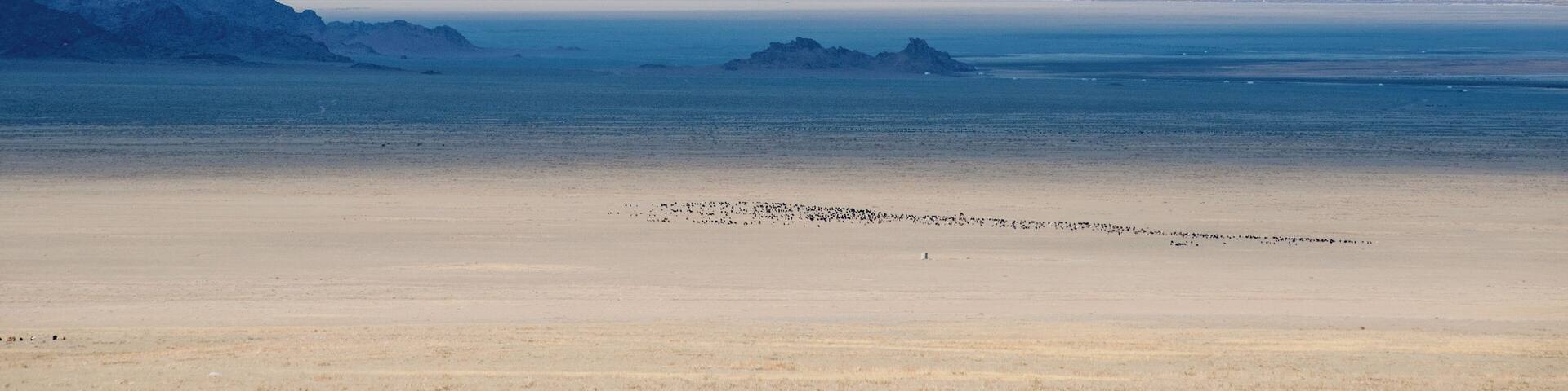 Probably 15-20 minutes before reaching Khovd, the desert landscape looked more like the sea.
#blue