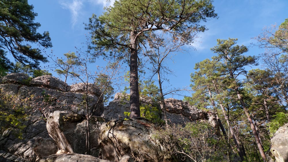 Robber's Cave State Park, Wilburton, Oklahoma, Stream in the mountains