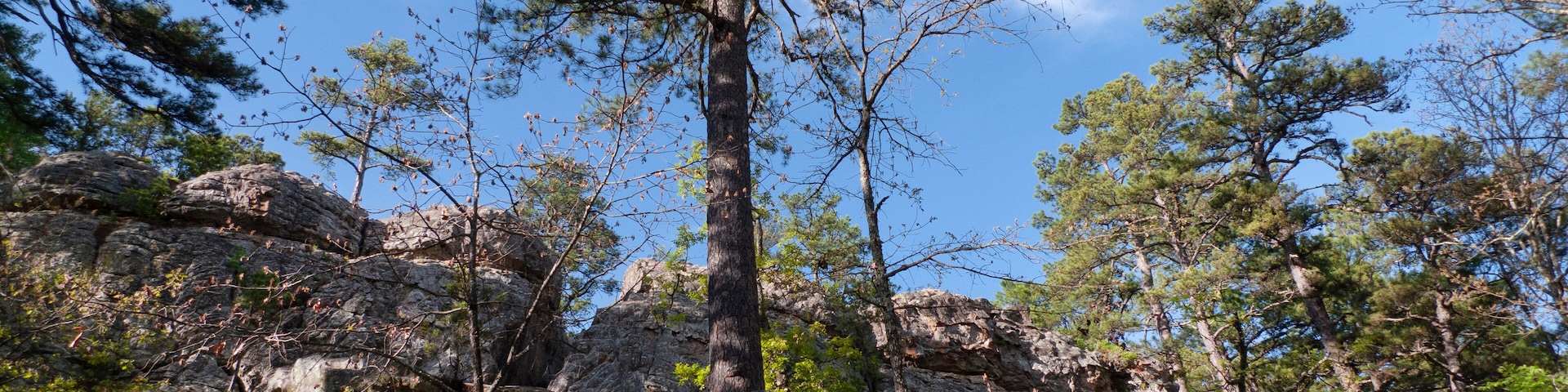 Robber's Cave State Park, Wilburton, Oklahoma, Stream in the mountains