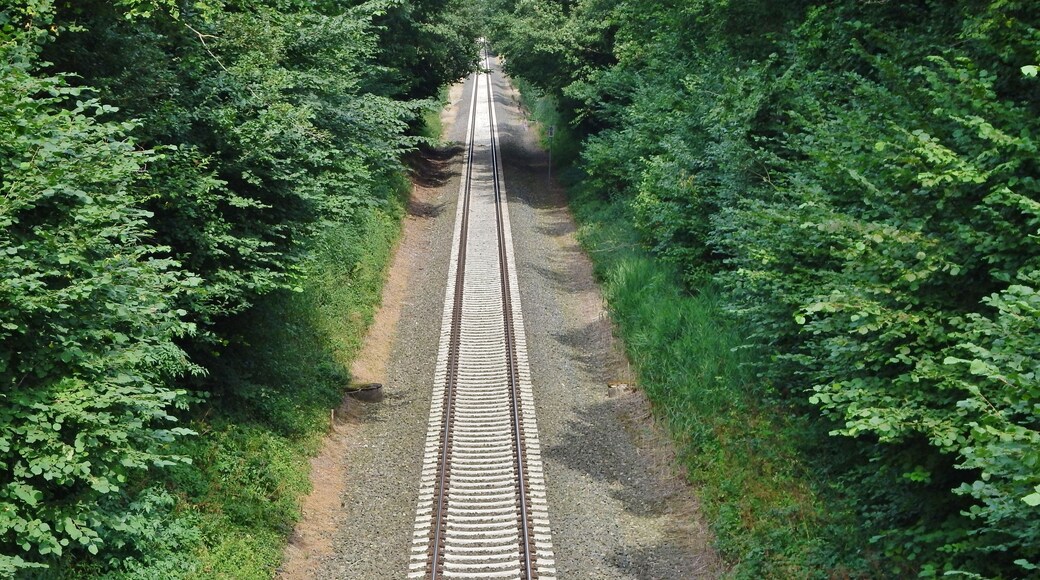 Eisenbahnstrecke Lübeck - Kiel