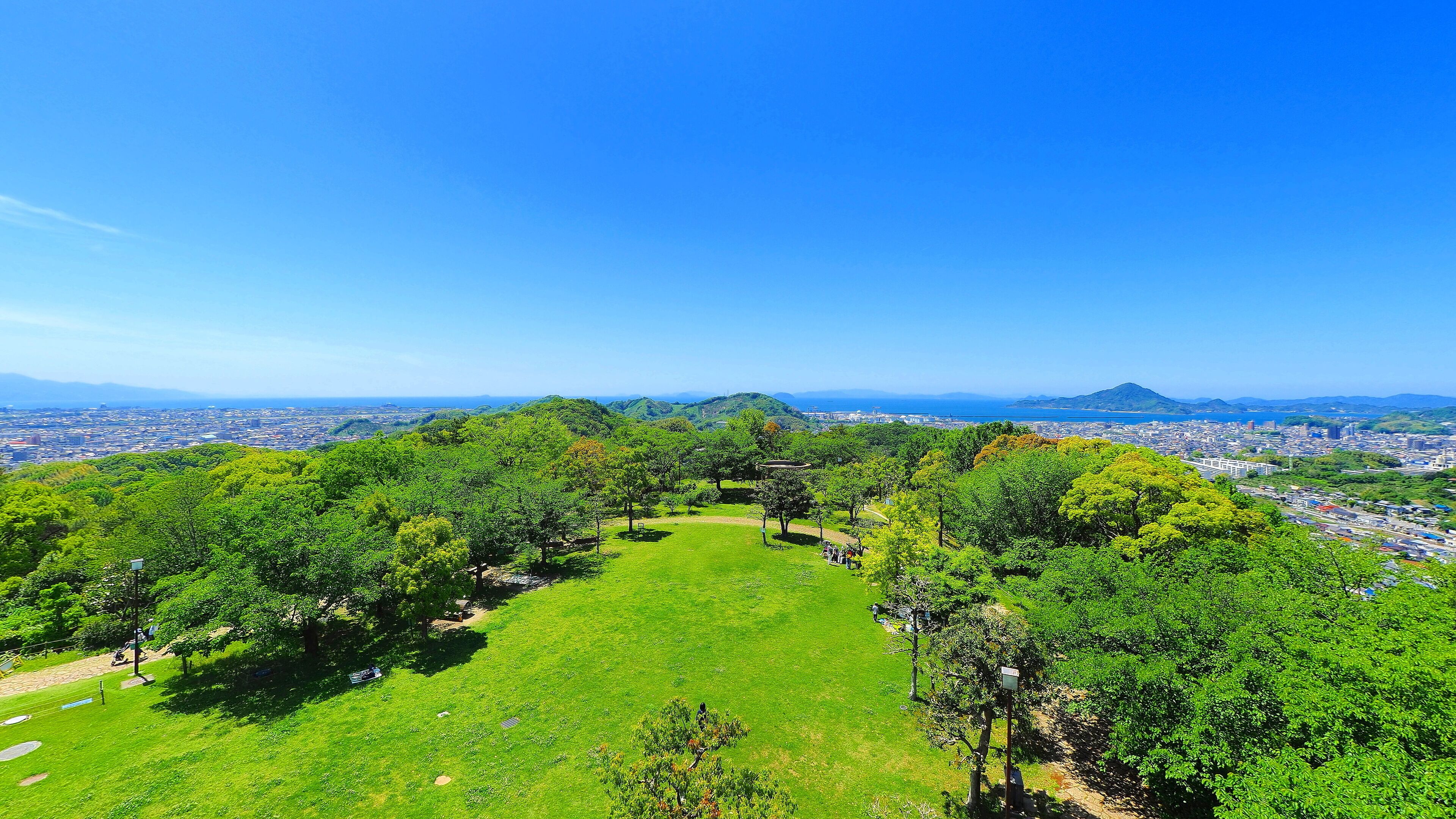 A lush green park with a clear view of a cityscape and distant mountains.