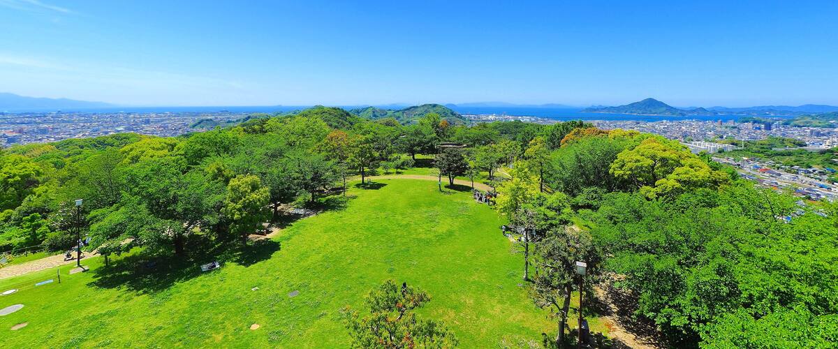 A lush green park with a clear view of a cityscape and distant mountains.
