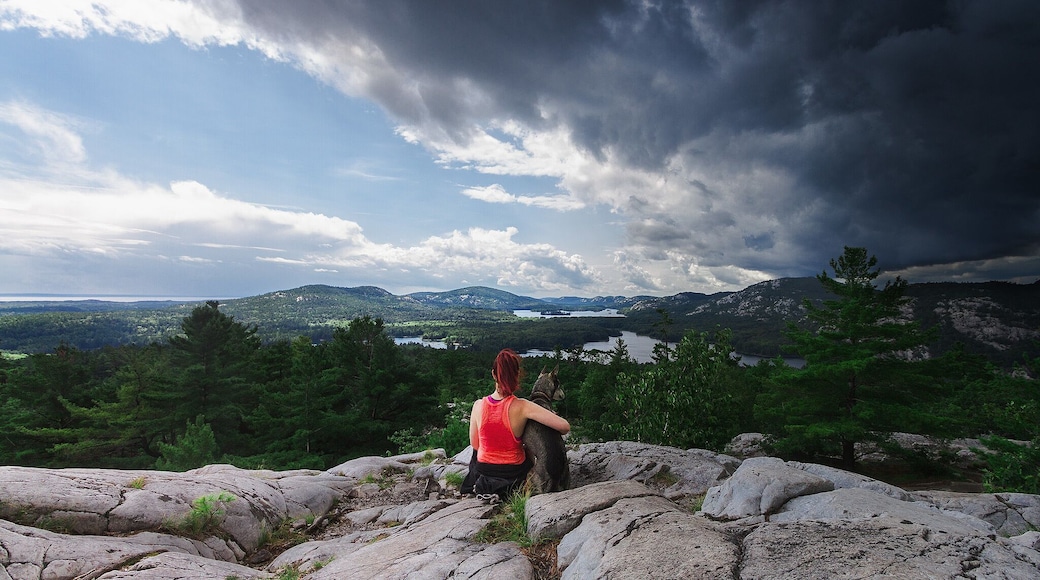 #takeahike at Killarney Provincial Park in Ontario, Canada! The Crack hiking trail offers rewarding views once you reach the top.
#travel #colourful #weather #hiking #ontario