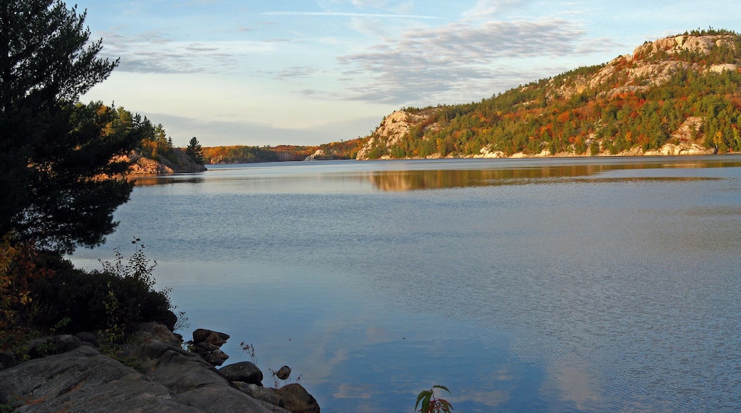 คิลลาร์นีย์