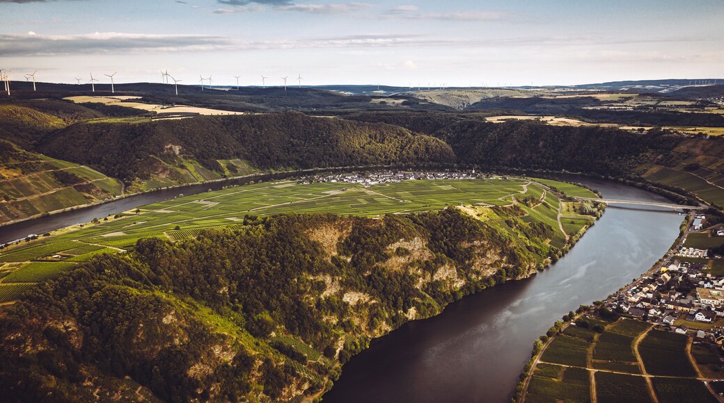 Moselloreley Piesport