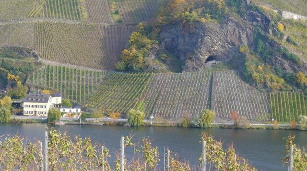 Geierslei bei Wintrich