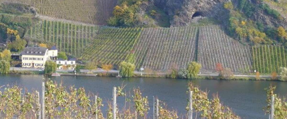 Geierslei bei Wintrich