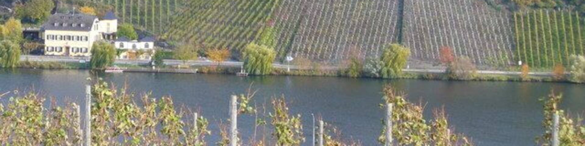 Geierslei bei Wintrich