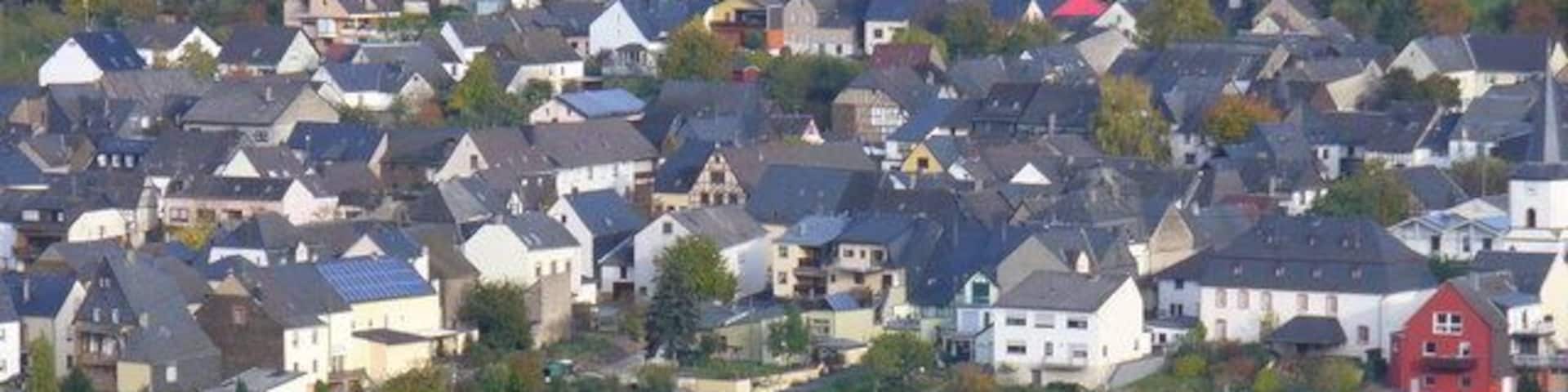 Wintrich von Kremert