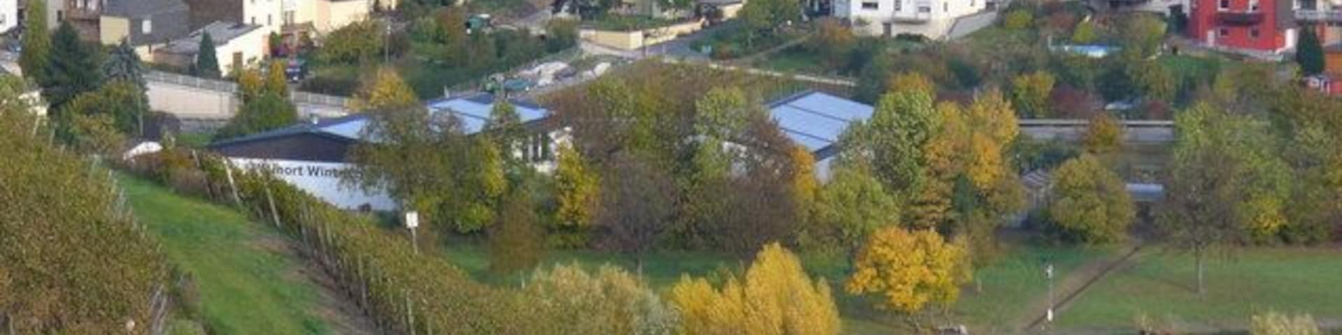 Wintrich von Kremert