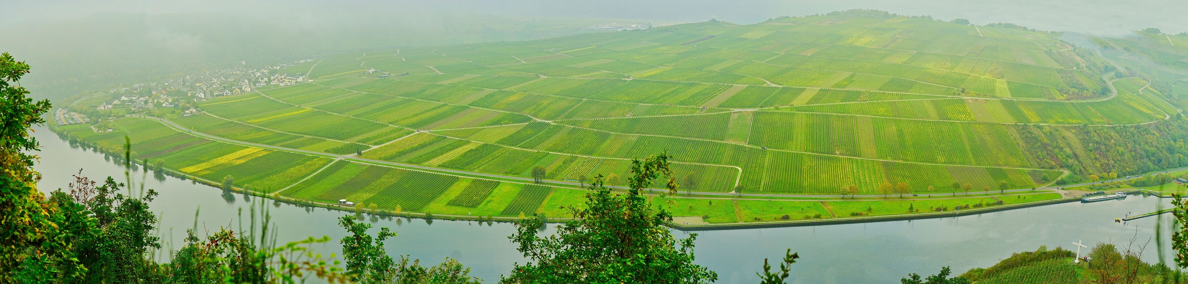 Panoramablick auf die Weinberge an der Moselschleife bei Wintrich, Rheinland-Pfalz
