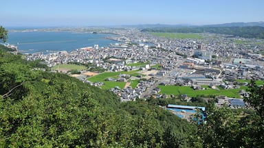A coastal city with a harbor, green spaces, and a hilly landscape.