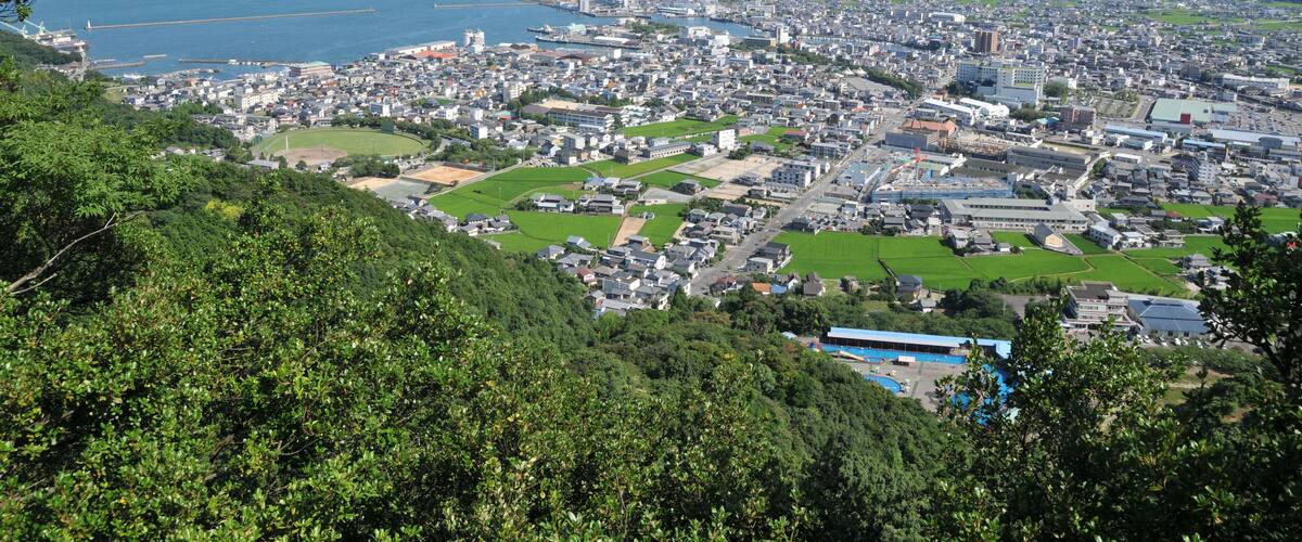 A coastal city with a harbor, green spaces, and a hilly landscape.