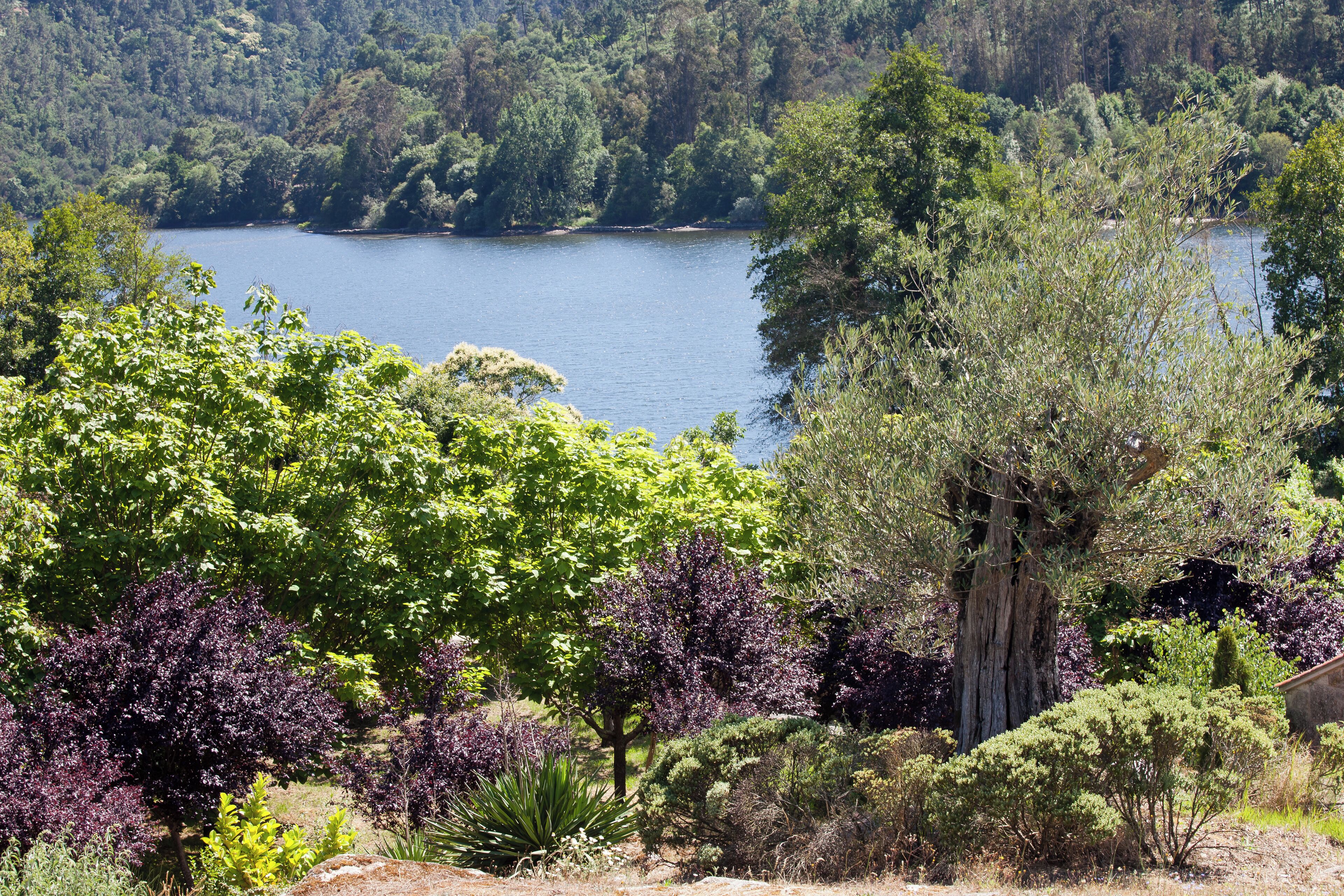 Miño river, A Arnoia, Galicia (Spain)
