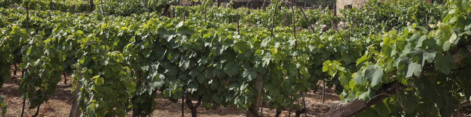 Igrexa de San Salvador da Arnoia, A Arnoia. Igrexa preto do Paseo fluvial de Caneirón. Os Chaos, A Arnoia.