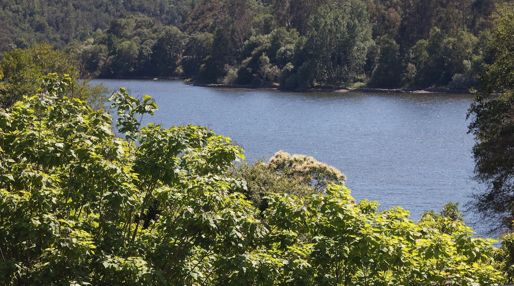 Miño river, A Arnoia, Galicia (Spain)
