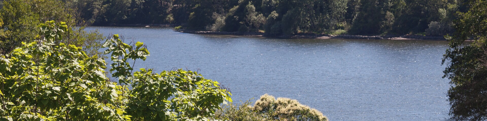 Miño river, A Arnoia, Galicia (Spain)