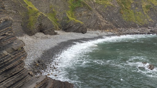 Flysch en San Juan de Gaztelugatxe, Bermeo, Bilbao, Costa vasca con pared de flysch