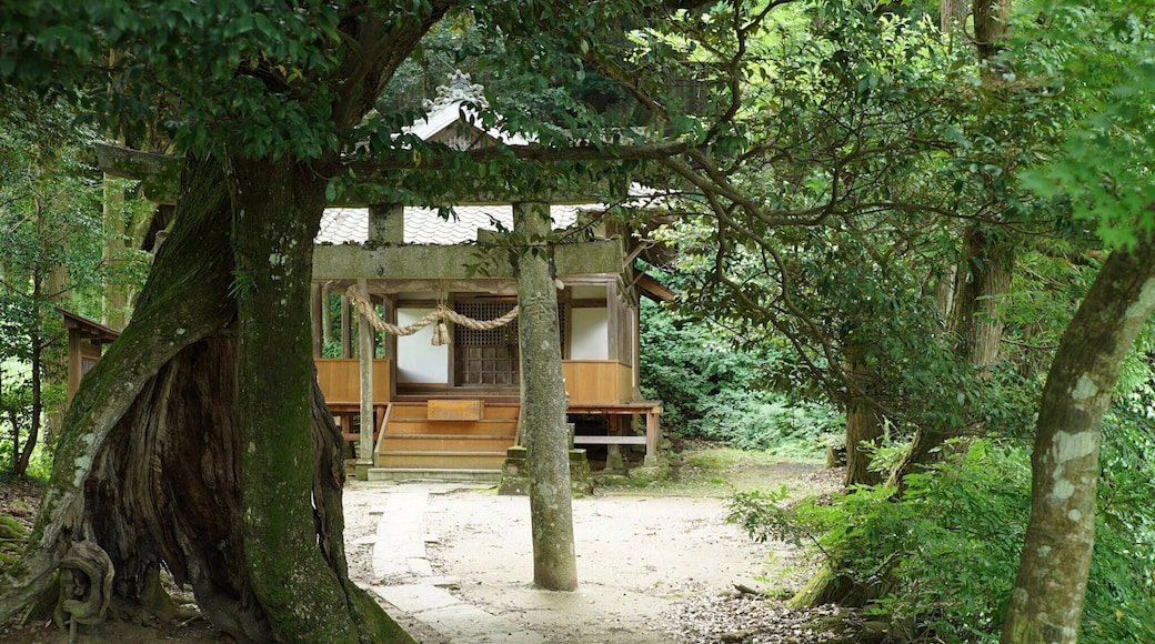 Yuge Shrine, Uchiko, Ehime
Original shrine dates back to end of the 14th century, by a powerful local clan Kono family