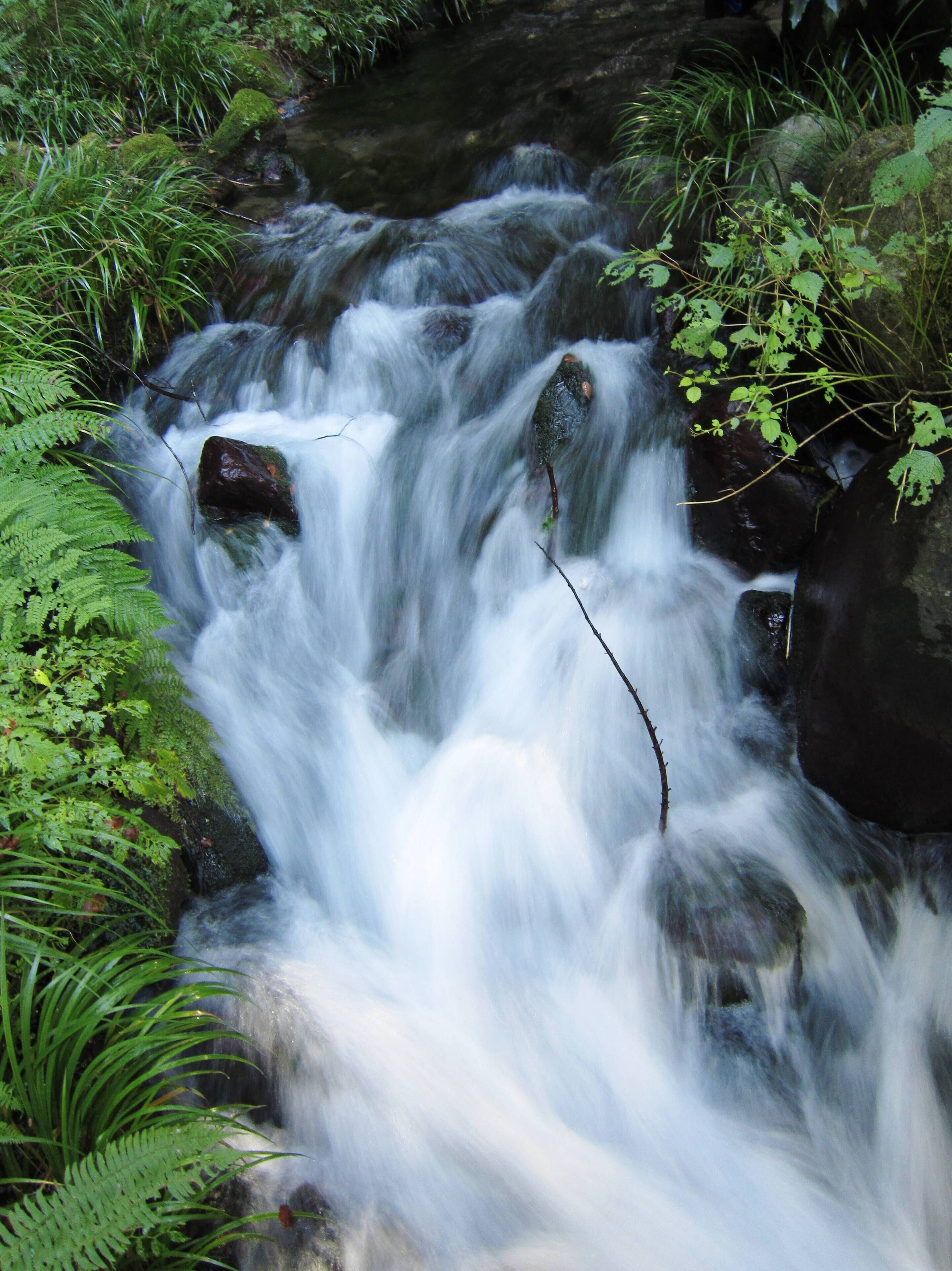 A fast-flowing waterfall surrounded by lush greenery.