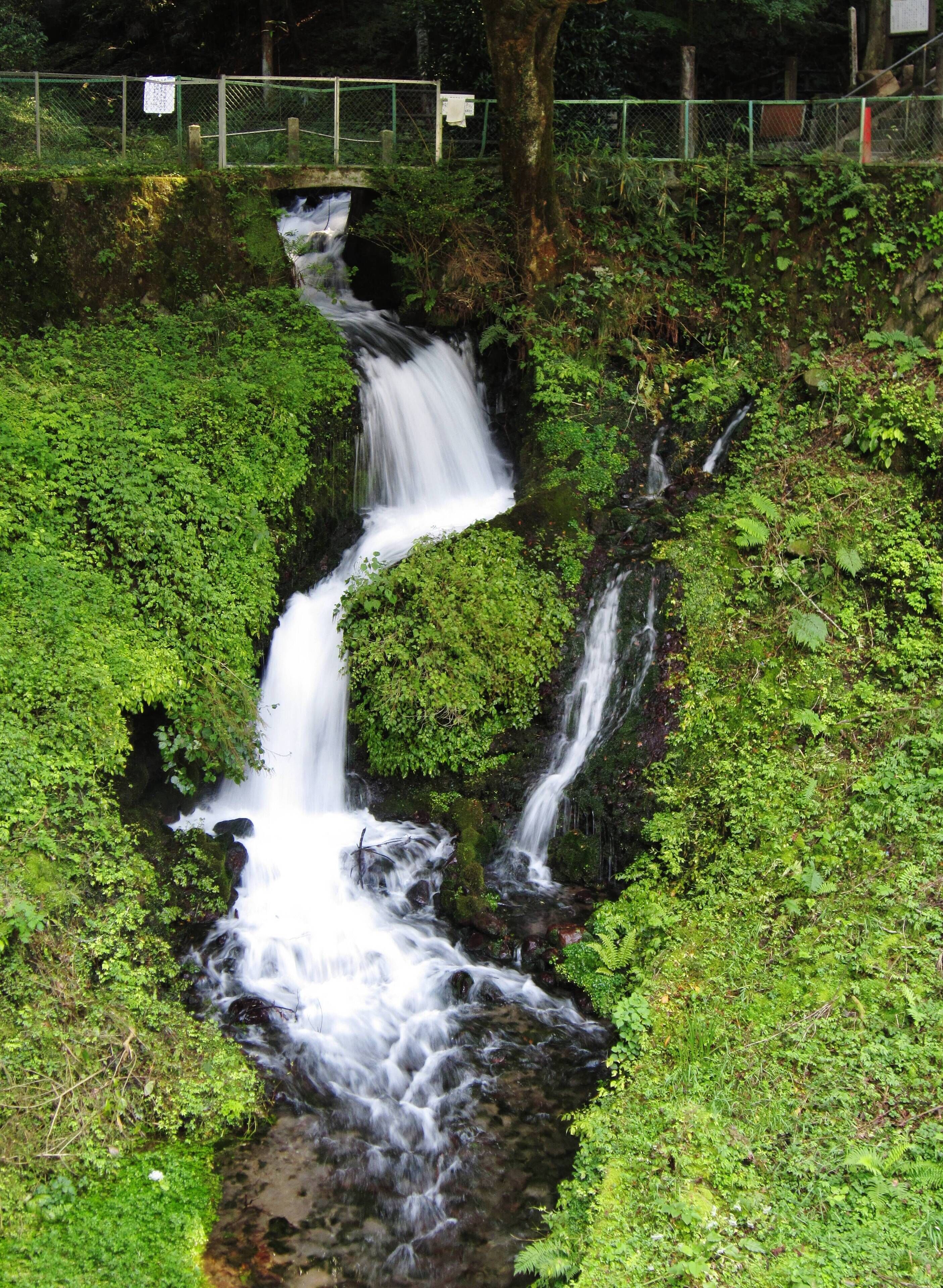 A waterfall cascading over moss-covered rocks in a lush green forest.