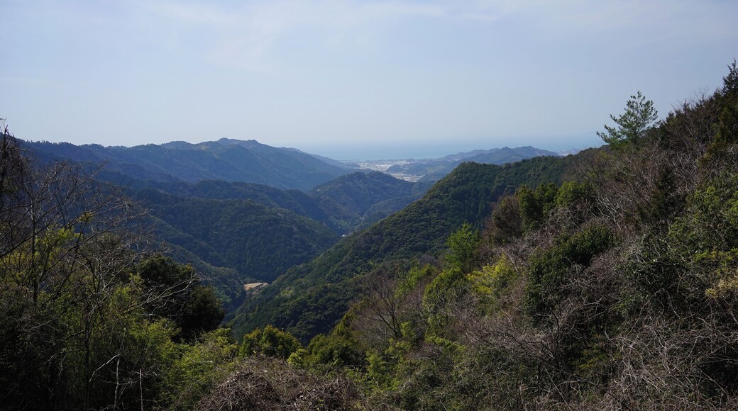Yasucho Kunimitsu, Konan, Kochi Prefecture 781-5613, Japan