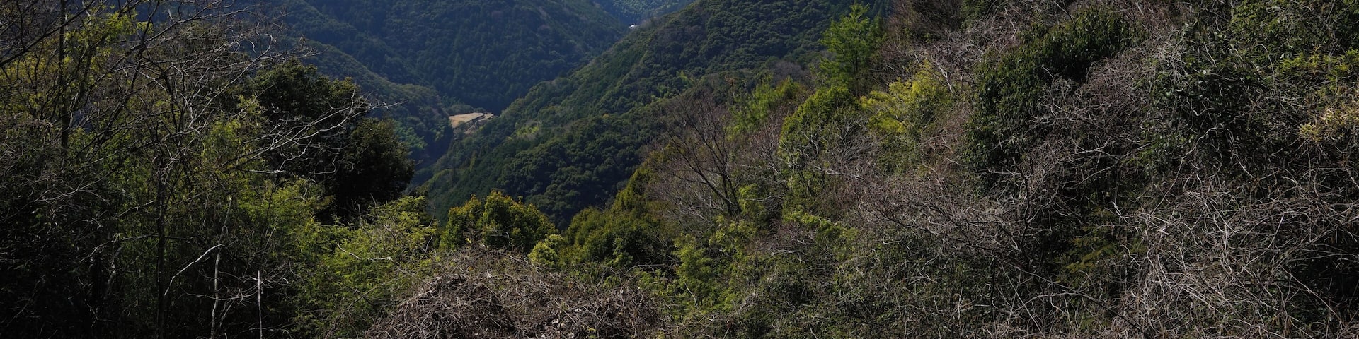 Yasucho Kunimitsu, Konan, Kochi Prefecture 781-5613, Japan