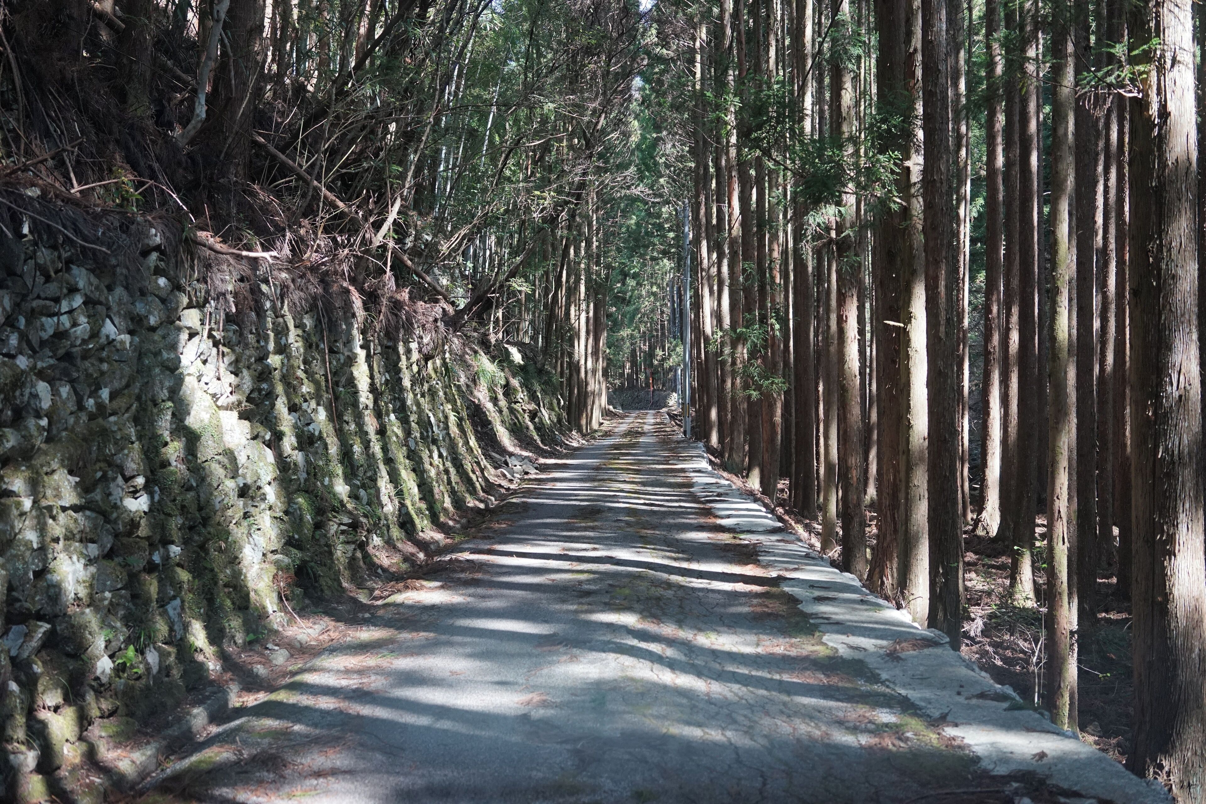 Kochi Prefectural Road Route 51 in Kagamicho Mugawa, Konan, Kochi Prefecture 781-5468, Japan