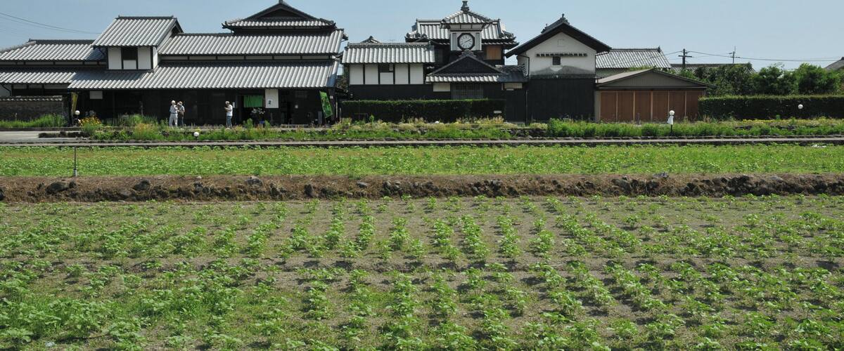 A traditional Japanese building with a clock tower, surrounded by a field of young plants.