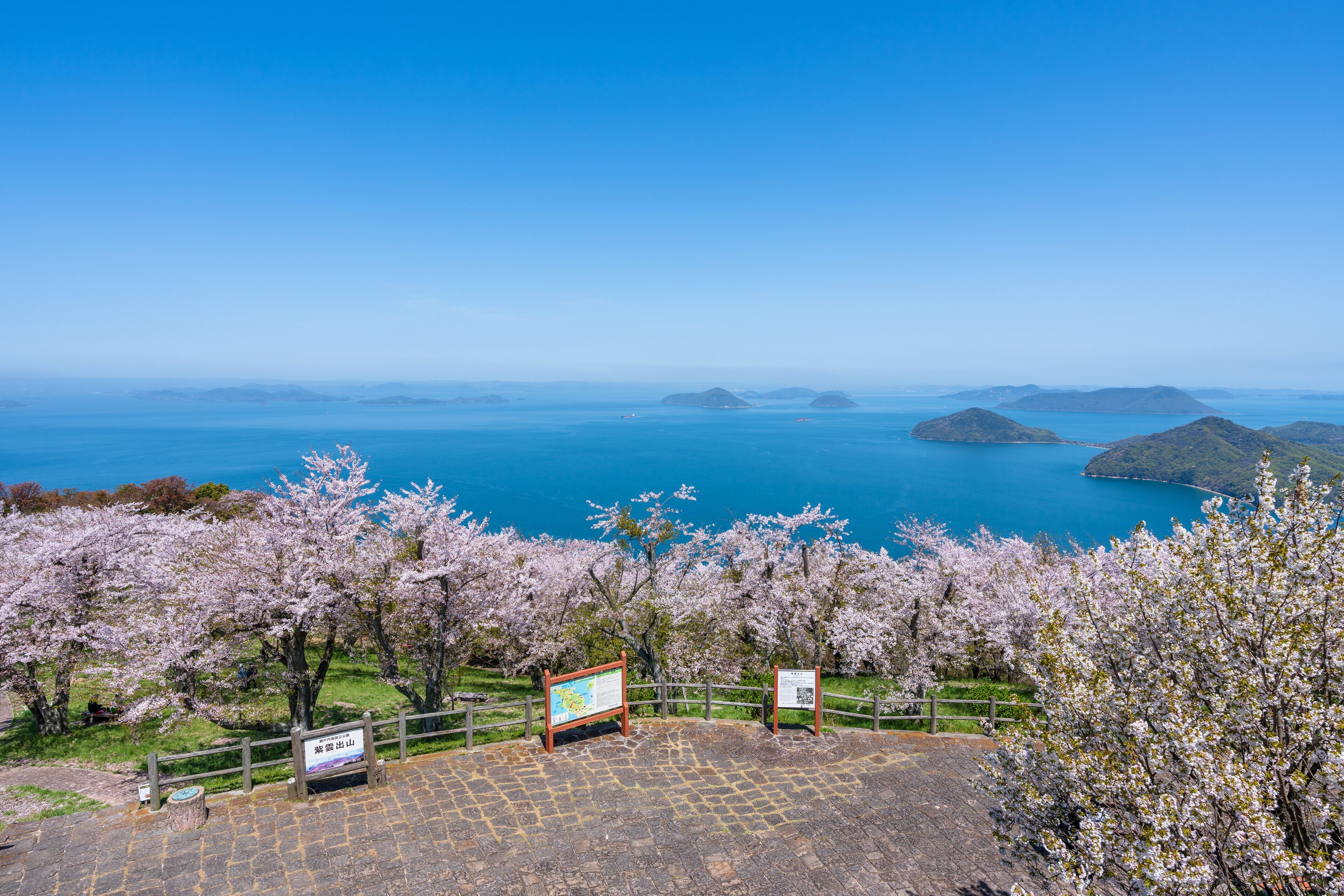 Kagawa, Japan. Mt. Shiude (Shiudeyama) Mountaintop Observatory. Cherry blossoms full bloom in the spring. Shonai Peninsula, Mitoyo, Kagawa, Shikoku.