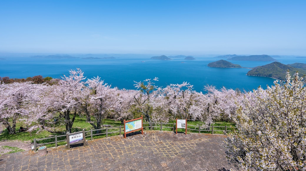 Kagawa, Japan. Mt. Shiude (Shiudeyama) Mountaintop Observatory. Cherry blossoms full bloom in the spring. Shonai Peninsula, Mitoyo, Kagawa, Shikoku.