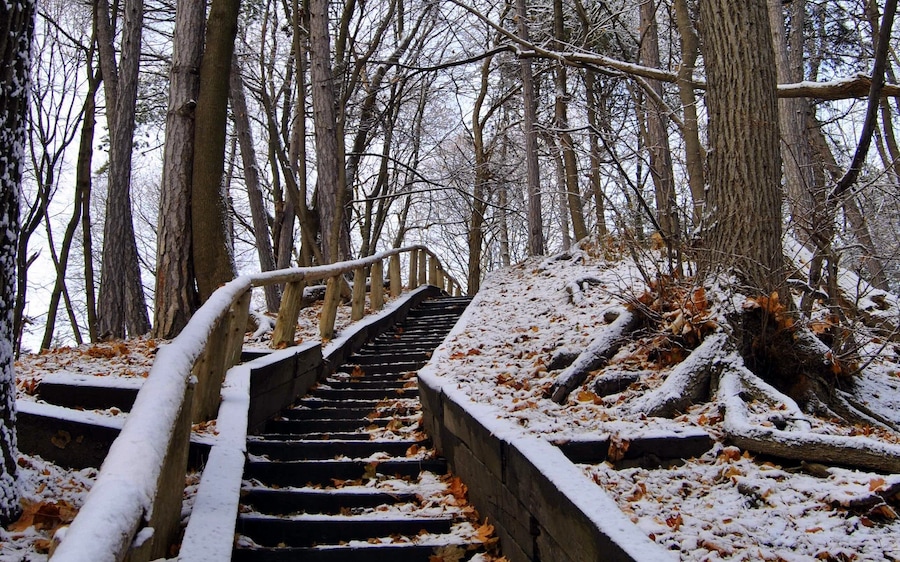 Beautiful snowy satirs