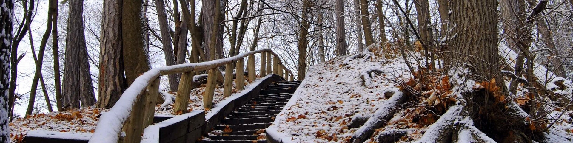 Beautiful snowy satirs