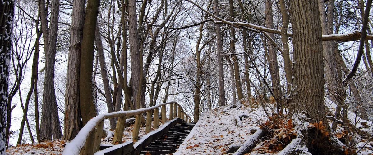 A snow-covered wooden staircase in a forest with bare trees.