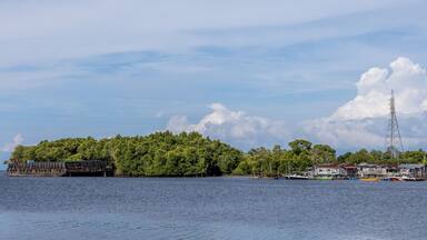 A panoramic view of a fishing village and mangrove forest along a river in Kuala Penyu, Sabah, Malaysia.