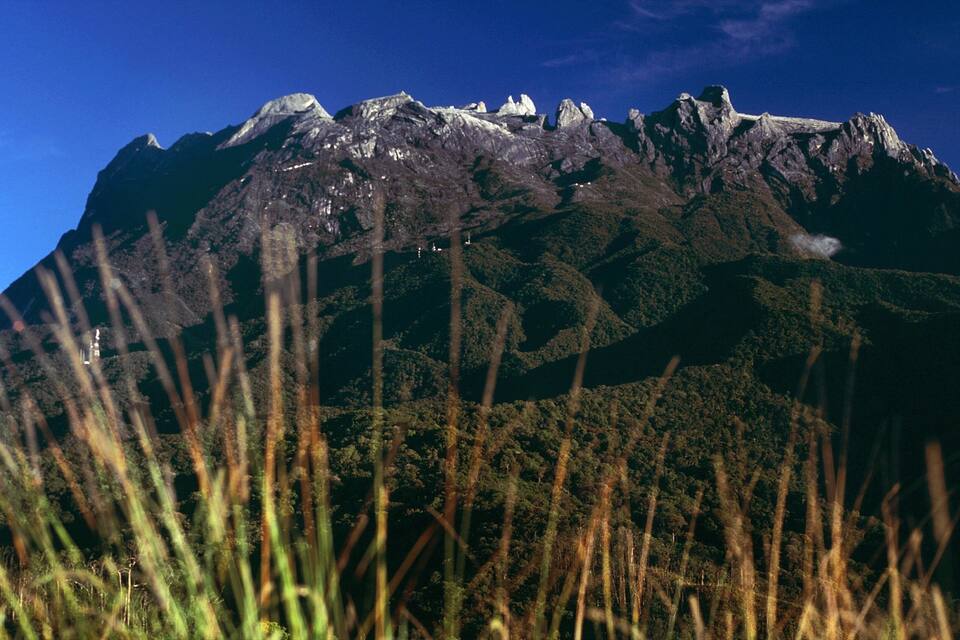 A mountain with a forested foreground and a clear sky.