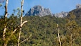 A mountainous landscape with dense forest and prominent rock formations.