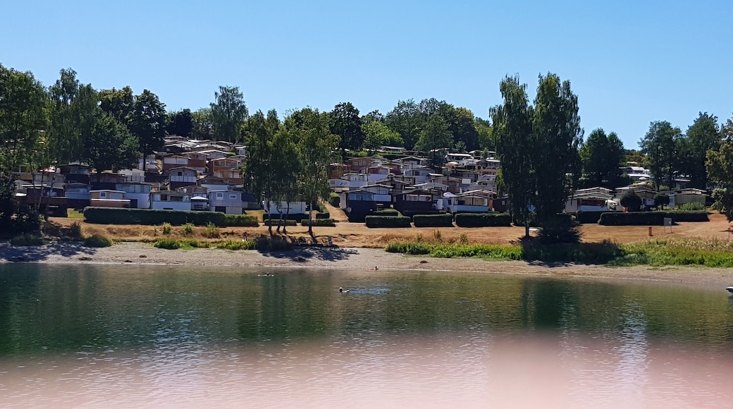 Bungalowsiedlung Gunzenberg (Talsperre Pöhl, Vogtland), Ansicht vom Wasser aus