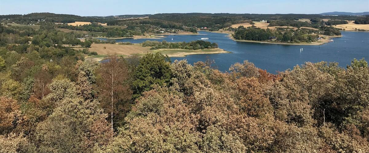 Blick vom Mosenturm auf Rodlera