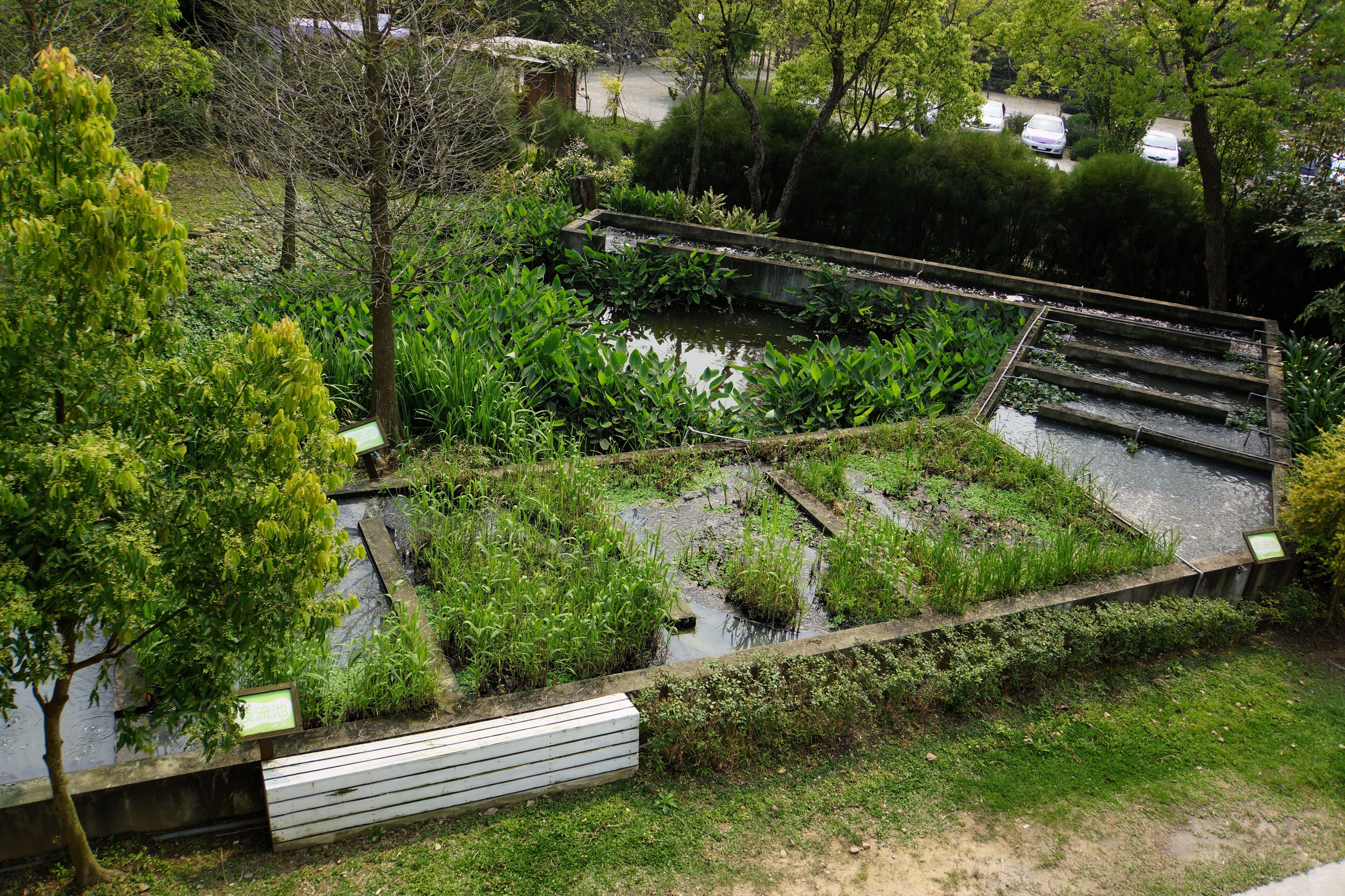 生態過濾池 Eco-filtration Pond