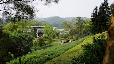 Lavender Cottage Mingde Shop 明德薰衣草森林