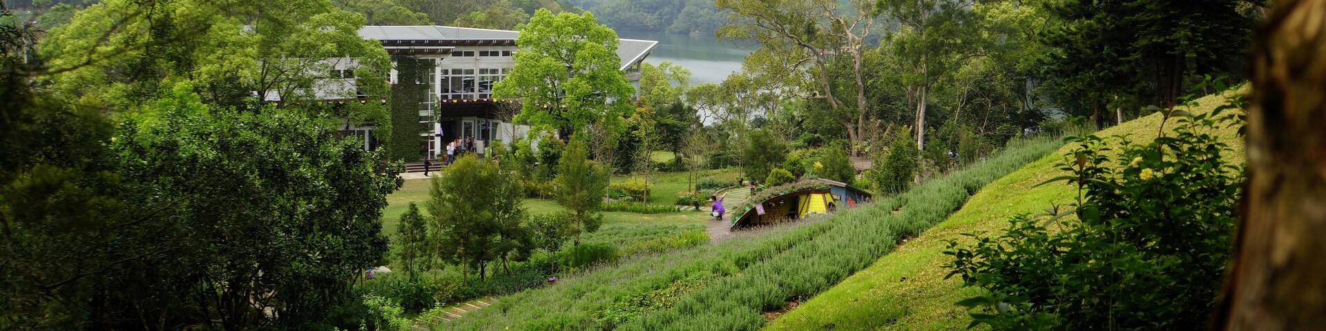 Lavender Cottage Mingde Shop 明德薰衣草森林