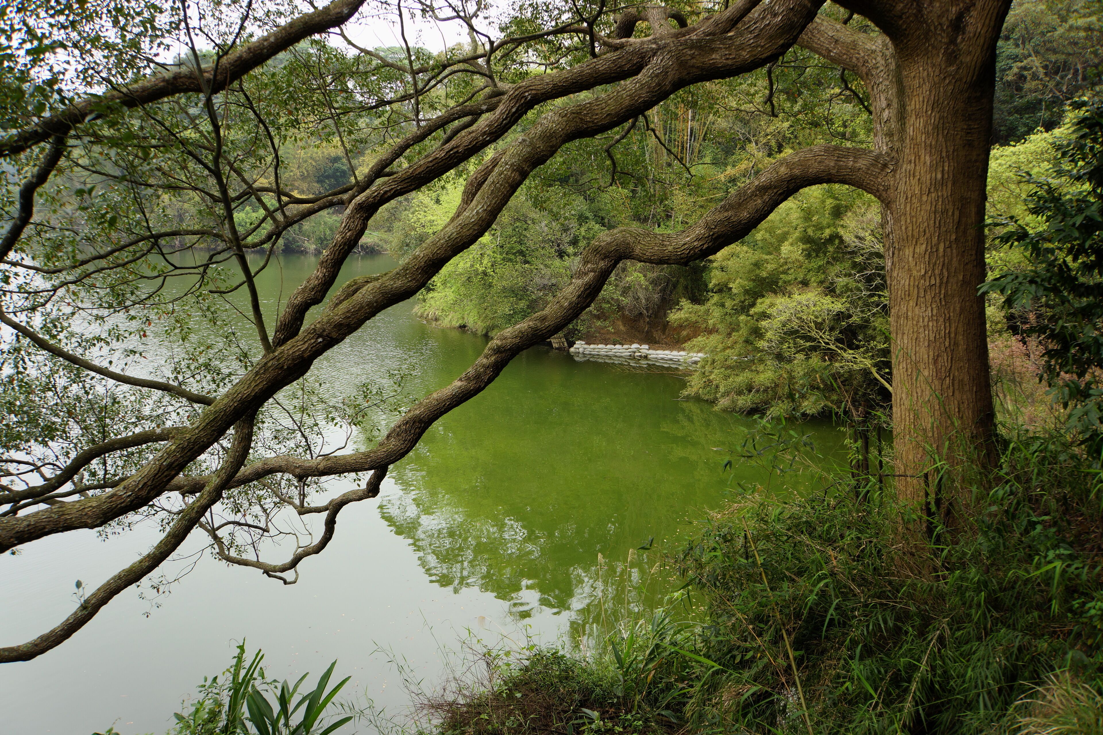 Mingde Reservoir 明德水庫