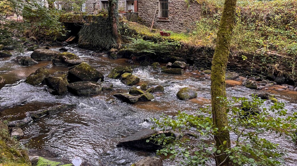 聖阿芒雅爾圖代