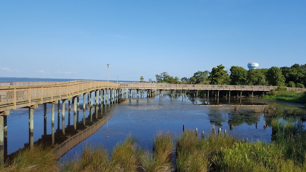 A wooden pier extending over a calm body of water, surrounded by grassy areas and trees.